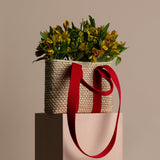 Palm Box Red