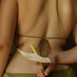 Top Dalia
