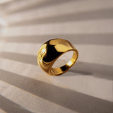 Anillo Shine Delgado