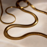 Collar Snake