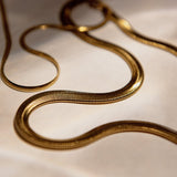 Collar Snake Genderless