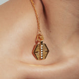 Collar Woll