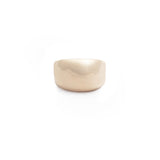 Anillo Shine Delgado