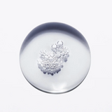 Kerastase Densifique Bain Densite Homme