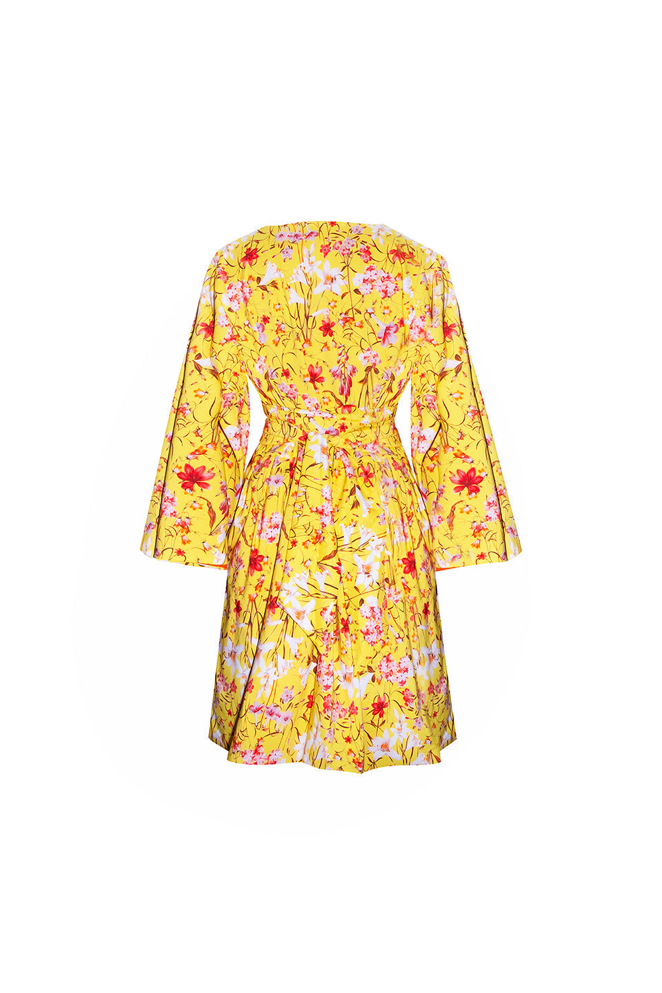 LIVIA DRESS