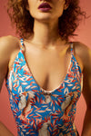Body