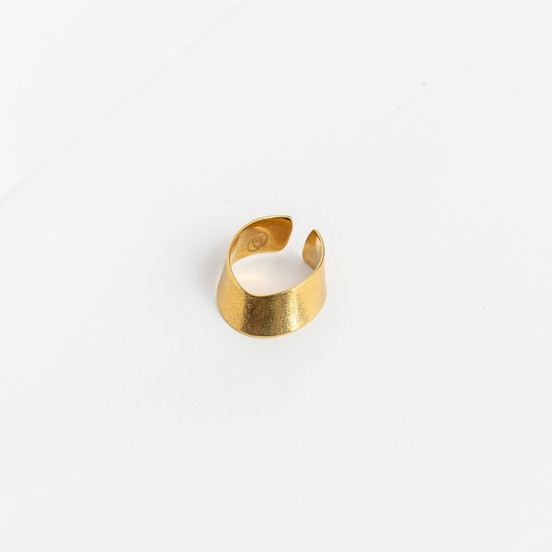 Curve Ring