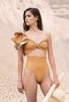 Gobi One Piece